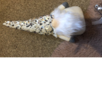 Peeoople