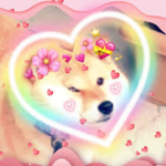 Furry Animal Fans