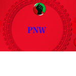 Pro Nitro Wrestling [PNW]