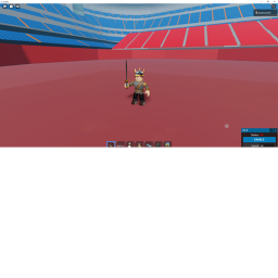 The arena