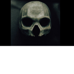 Dynasty of Death Eaters