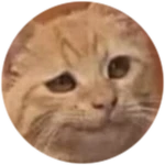 Secret Badge