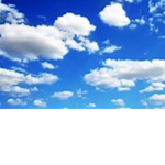 The SkyClan