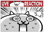 Live cat reaction