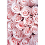 pink fun group