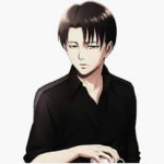 Leviiiiii fan group