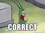 CORRECT! group