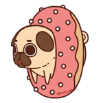 The Pug Squad!