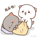 Cute Kawaii Cats/Kittens