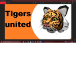 Tigers Of the fight!