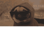 Team E_