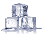 Frost Bois