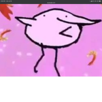 Flamingos Country