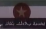 The Bilya Branch Forces