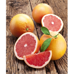 The Grapefruits