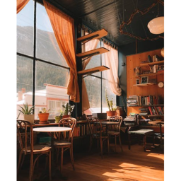 Sweet Beans Cafe (Early Development)