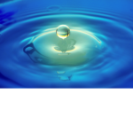 The Water Crew