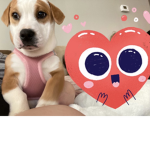 Lexi cute girls