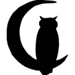 The Midnight Owls