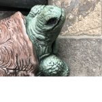 turtle kids