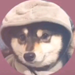 Give Robux For Amelia