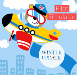 Pilot Simulator