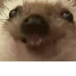 Hehemeh