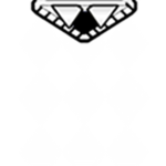 Domino Crown Fans!