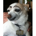 chloe is swag