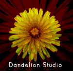 Dandelion Studio