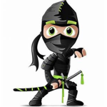 Storm Ninjas (SN)