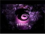 xXThe Awesome DragonsXx