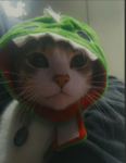 ScST4RFAULT OFG hangout