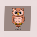 OWLS!
