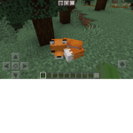For the foxs