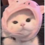 Håppÿ :)