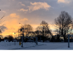 Chole_1421