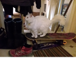 Girls can skate