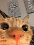 Sr =D