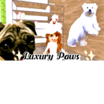 Luxury Paws