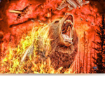 Fire bear crew