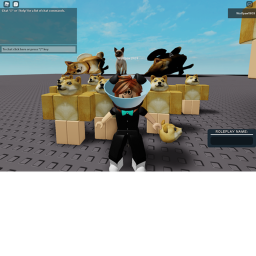 TEAM:DOG