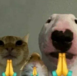 DogRBLX