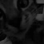 /haunted