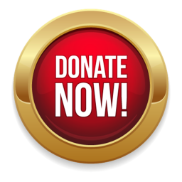 Aust's Donate Game!