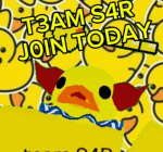 TEAM S4R