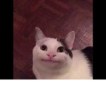 Ｊ ｏ ｙ Ｓ ｍ ｉ ｌ ｅ Ｆ ｕ ｎ