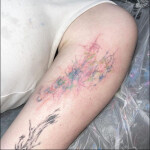 ⋆ ˚｡⋆୨୧˚