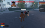 MIAMI STORIES