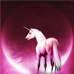 The Elite Unicorns